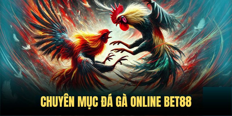 Sảnh game đá gà đa dạng và cuồng nhiệt